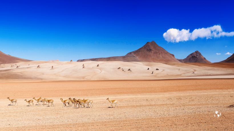 desierto boliviano
